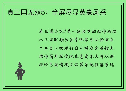 真三国无双5：全屏尽显英豪风采
